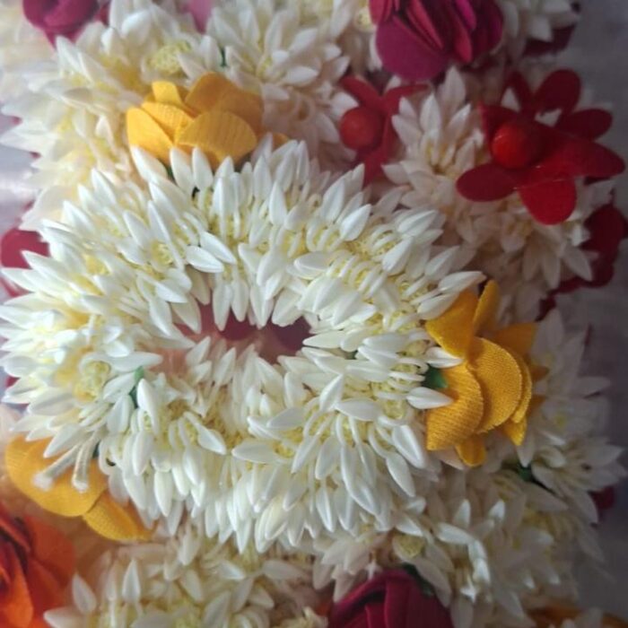 WhatsApp Image 2026-09-03 at 12.00.43 (3)